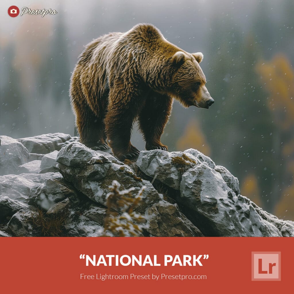 Free Lightroom Preset National Park by Presetpro