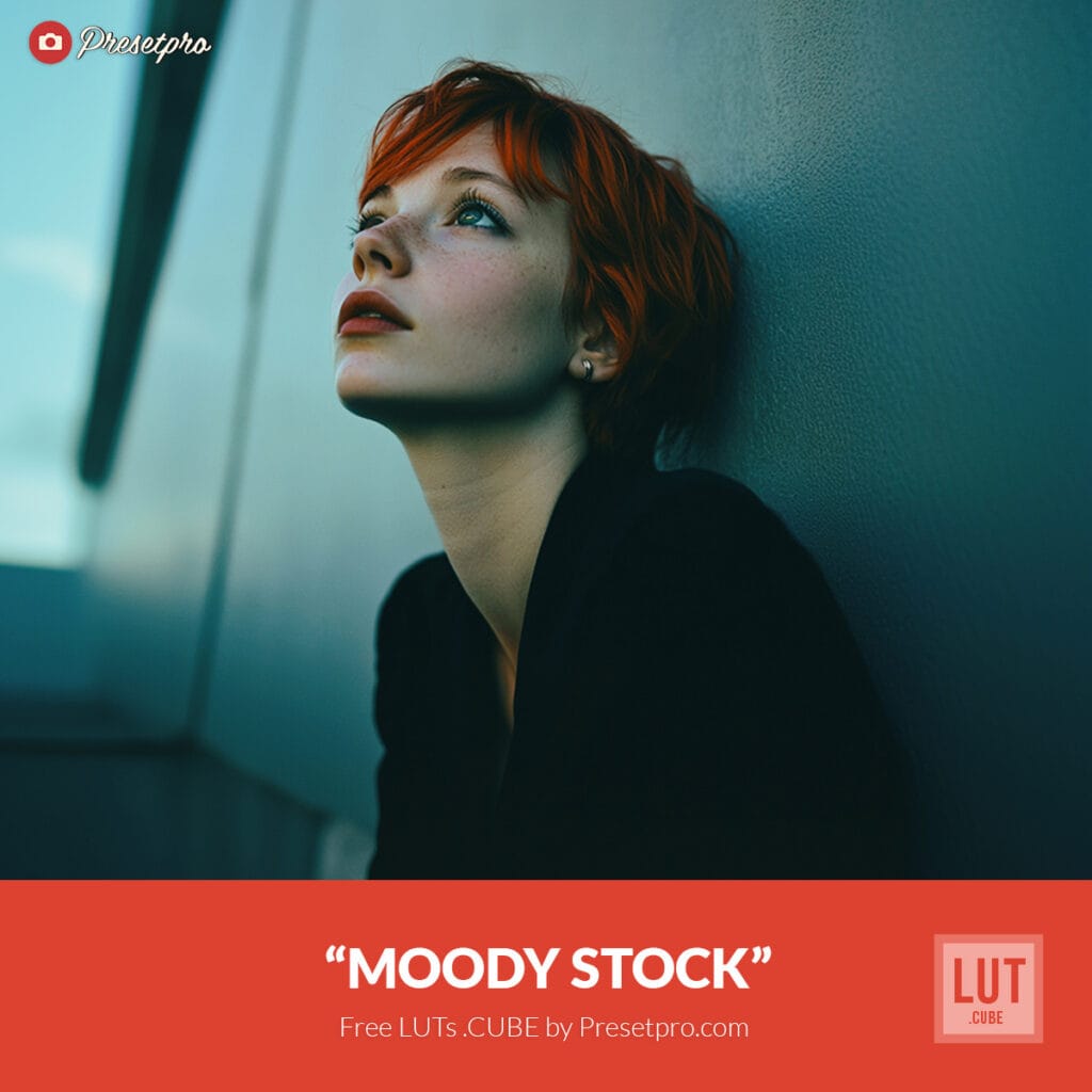 Free LUT Moody Stock Lookup Table Presetpro.com