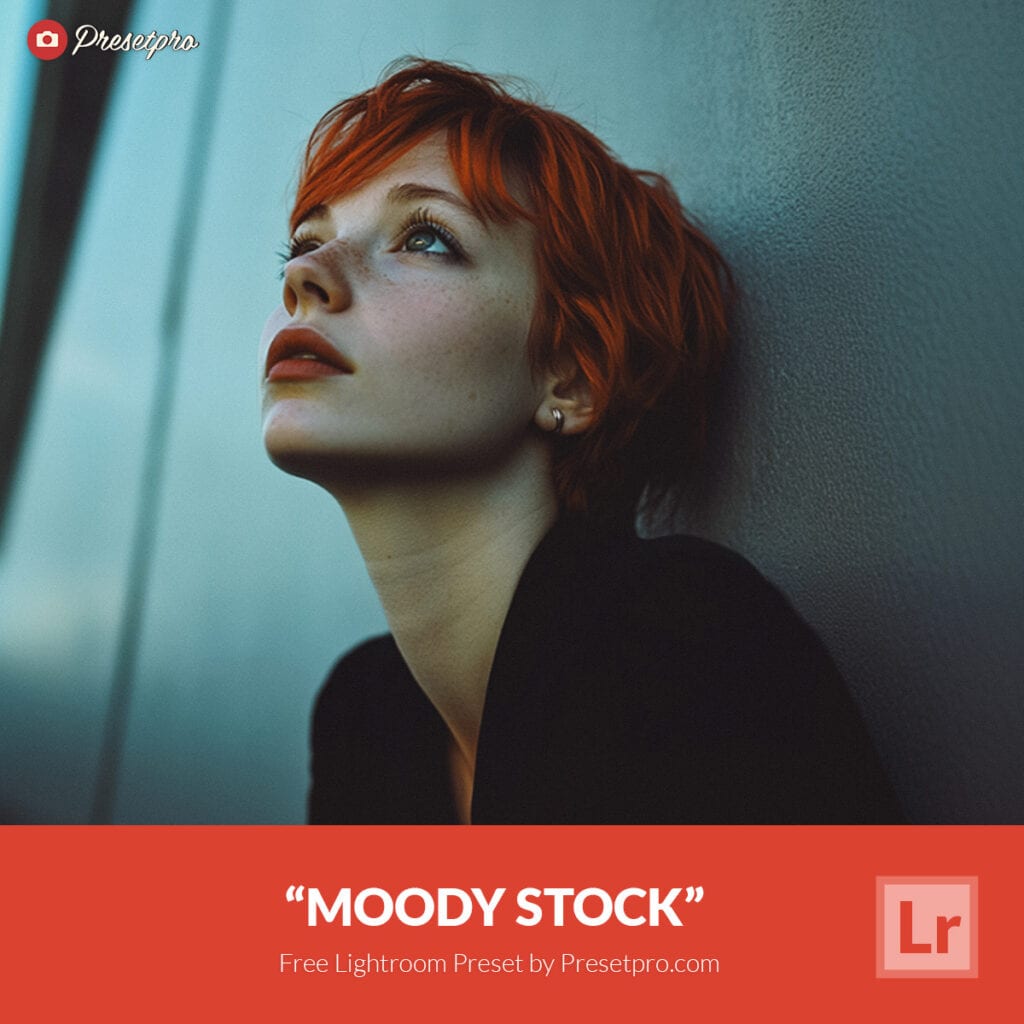 Free Lightroom Preset Moody Stock by Presetpro